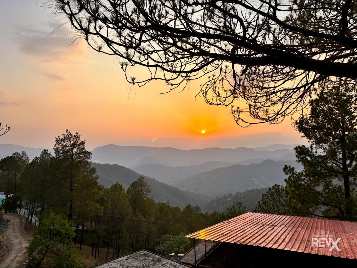 WhatsApp Image 2025-11-10 at 4.29.30 PM (3)