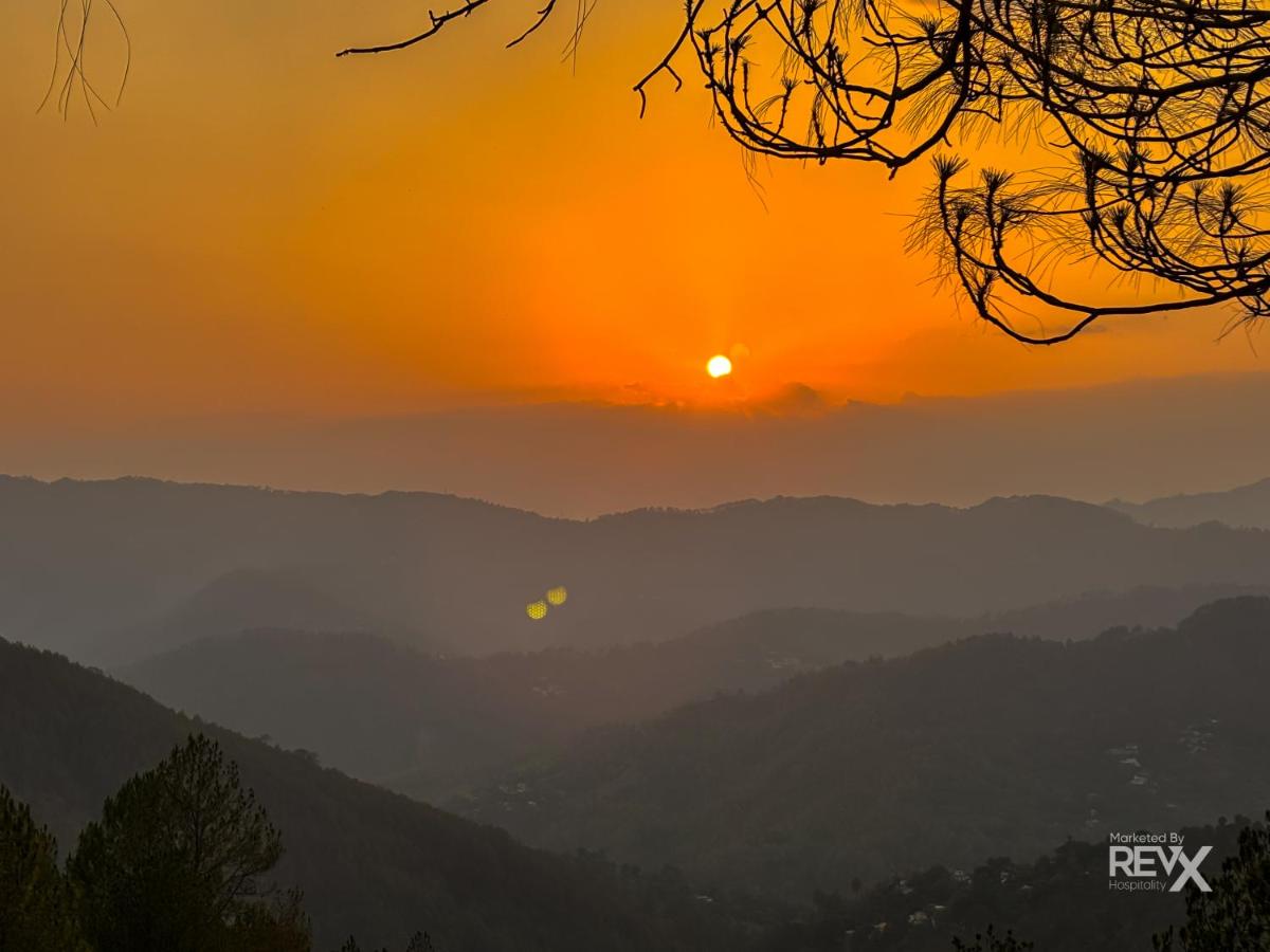 WhatsApp Image 2025-11-10 at 4.29.38 PM (4)