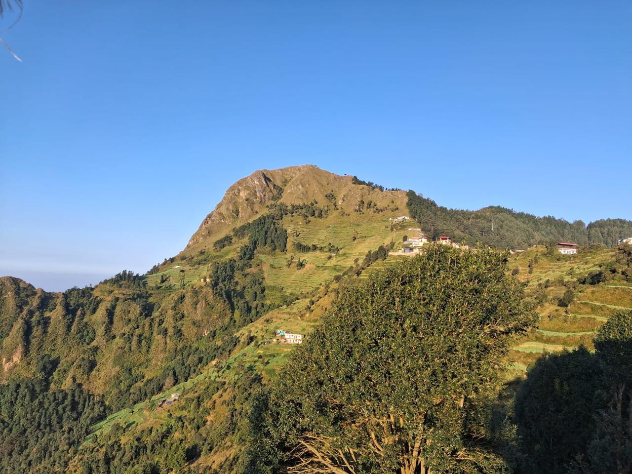 WhatsApp Image 2025-12-10 at 12.22.40 PM (1)