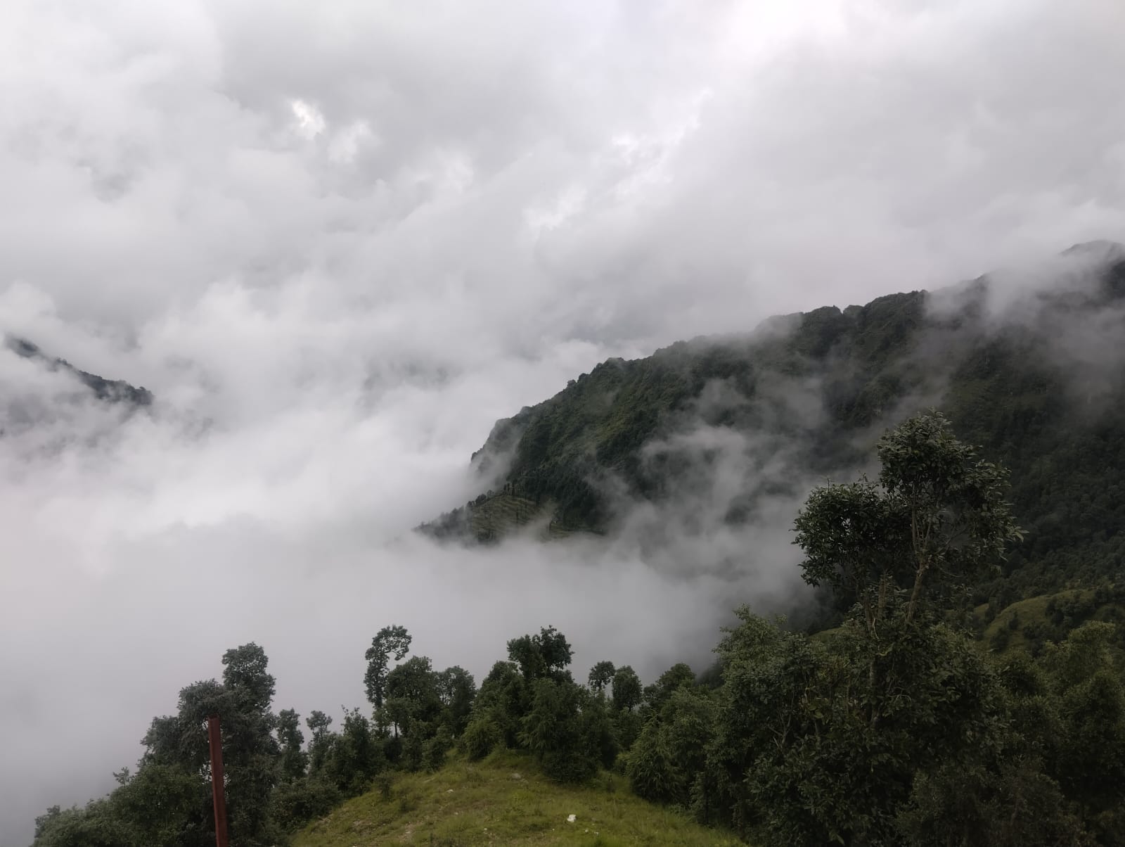 WhatsApp Image 2025-12-10 at 12.25.18 PM